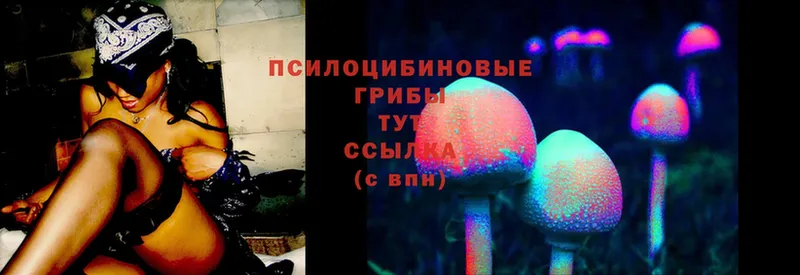 Галлюциногенные грибы Magic Shrooms  где купить наркотик  MEGA рабочий сайт  Лагань 